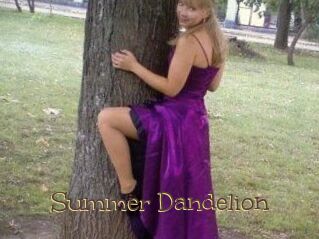 Summer_Dandelion