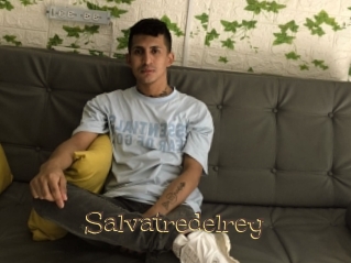 Salvatredelrey
