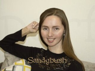 Sandybush
