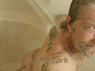 Scottyshark