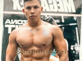 Sebastian_gaizor1