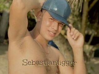 Sebastiantigger