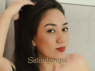 Selindongel
