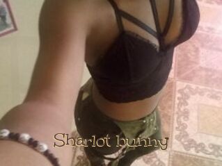 Sharlot_bunny
