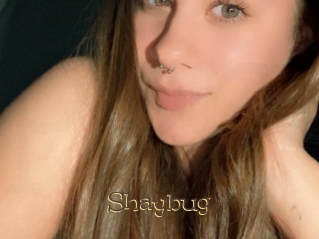 Shaybug
