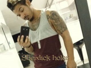 Sherdick_holes