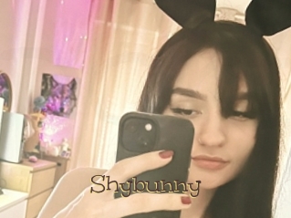 Shybunny