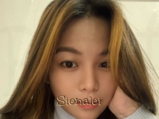 Sienalei