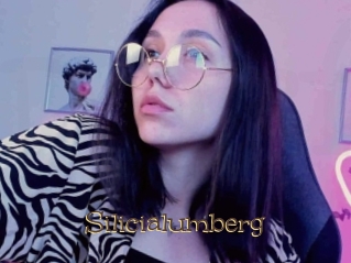Silicialumberg