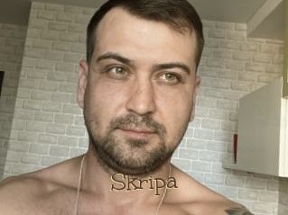Skripa
