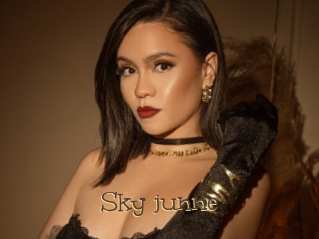 Sky_junne