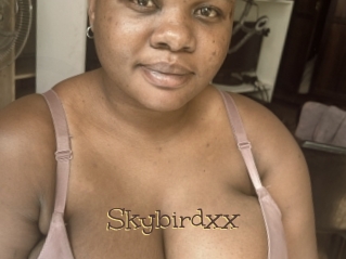 Skybirdxx