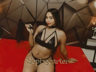 Sophycarter