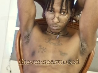 Stevenseastwood