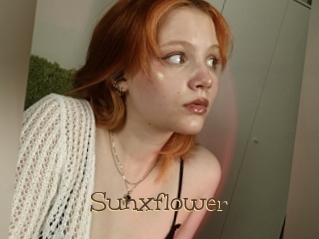 sunxflower Porno FR