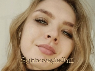 Synnovegledhill