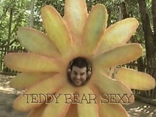 TEDDY_BEAR_SEXY