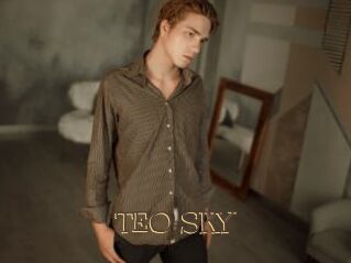 TEO_SKY