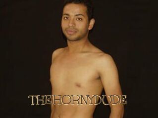 THEHORNYDUDE