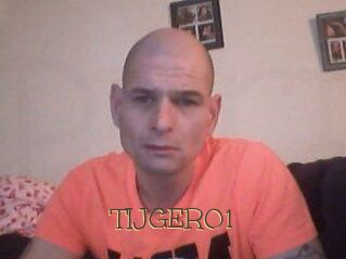 TIJGER01 Porno FR