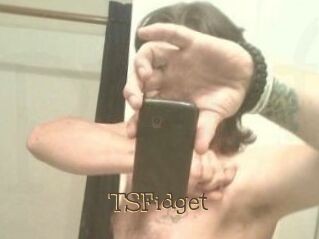TSFidget