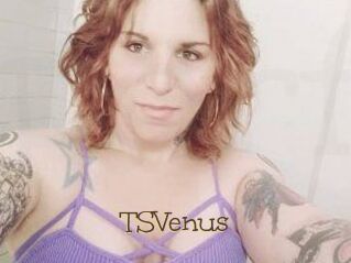 TS_Venus
