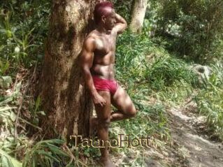 Tauro_Hott