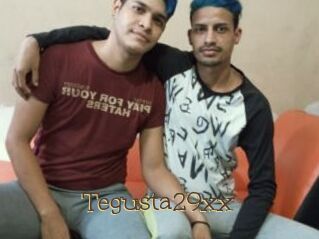 Tegusta29xx