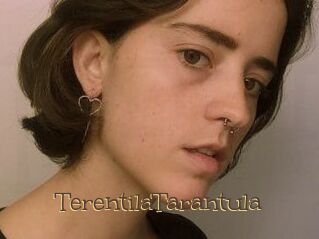 TerentilaTarantula