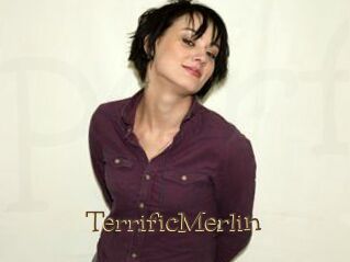 TerrificMerlin