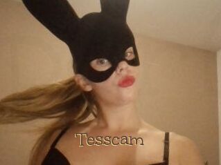 Tesscam
