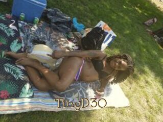 TinyD30