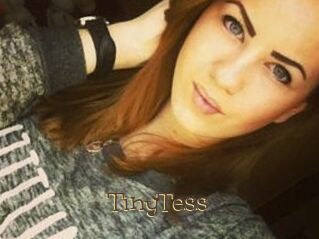 TinyTess
