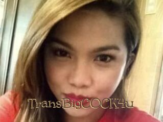 TransBigCOCK4u