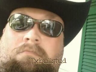 Txbullstud