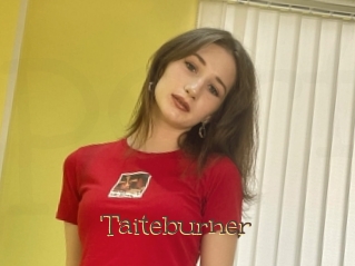 Taiteburner