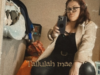 Tallulah_mae