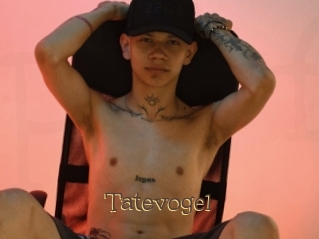 Tatevogel