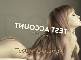 Testmodelsawyer