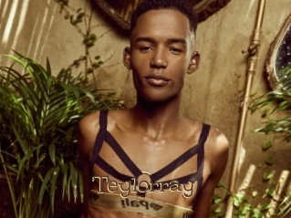 teylorray Porno FR