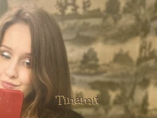 Tinamit