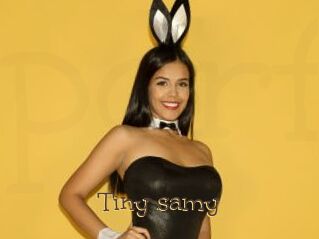 Tiny_samy