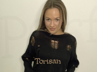 Torisan