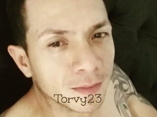 Torvy23