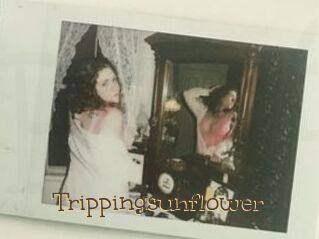 Trippingsunflower