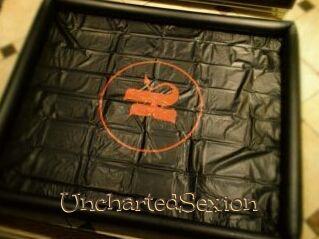 UnchartedSexion