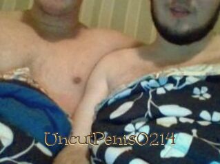 UncutPenis0214