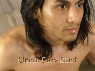 Uncut_Perv_Elliot