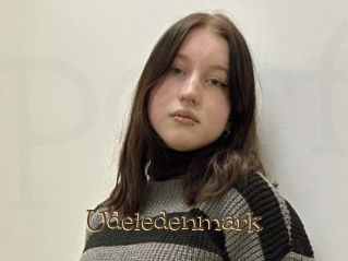 Udeledenmark