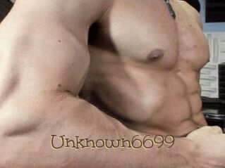 Unknown6699